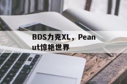 爱游戏中国-BDS力克XL，Peanut惊艳世界