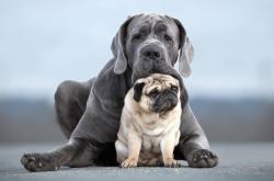 爱游戏在线-维尼修斯，掌控比赛的艺术，苏格兰逆转墨西哥的幕后导演