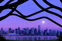 爱游戏大厅-赛道与球场的双重奏，F1摩纳哥激战与凯尔特人鹈鹕巅峰对决