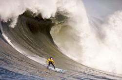 爱游戏体育-范弗利特，当稳定成为风暴—灰熊对阵尼克斯的隐形胜负手
