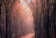 爱游戏tv-篮网B队爆冷凯尔特人B队，欧文打破历史纪录的简单介绍