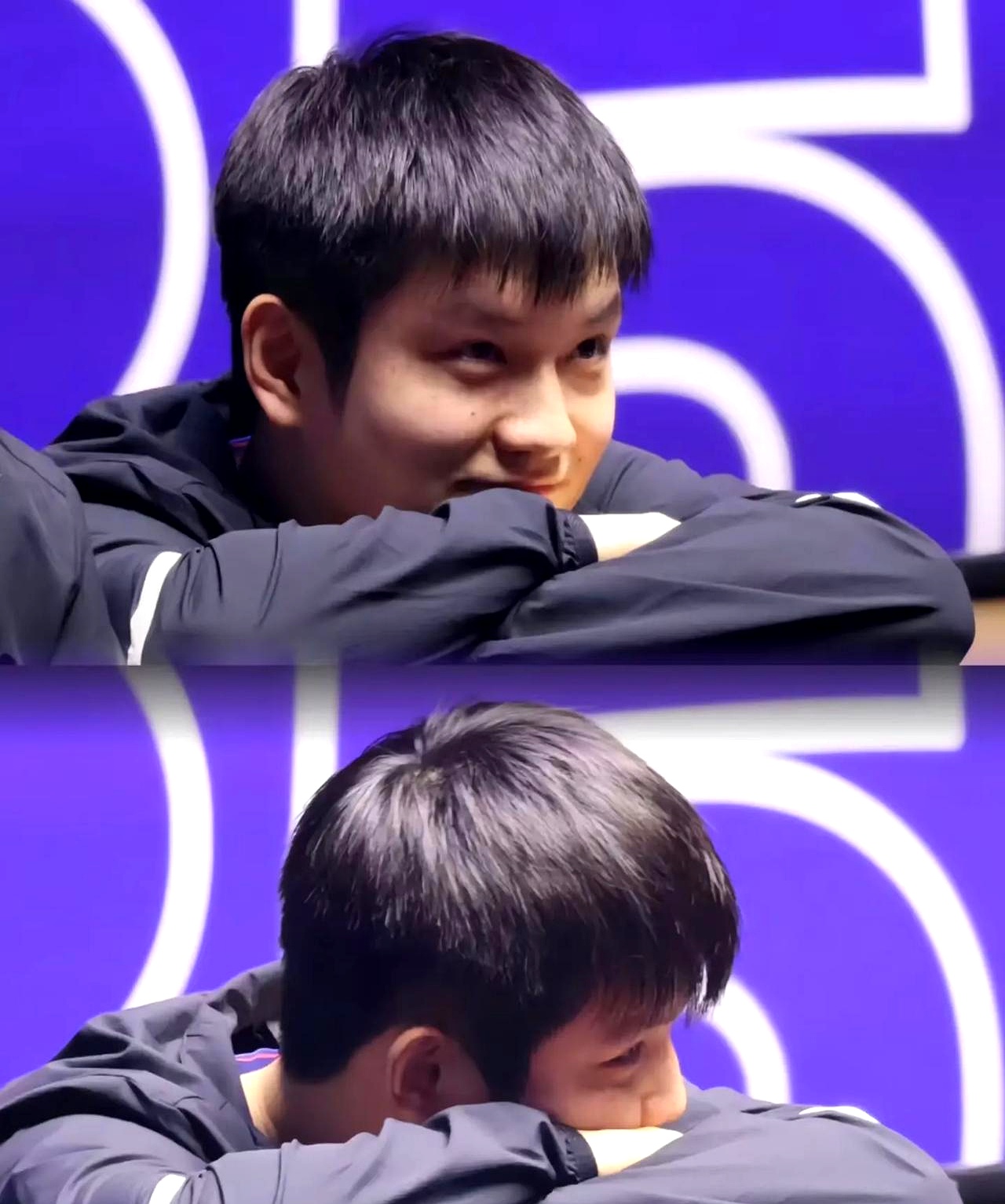 日本队碾压葡萄牙队,樊振东刷新纪录 日本队碾压葡萄牙队,樊振东刷新纪录