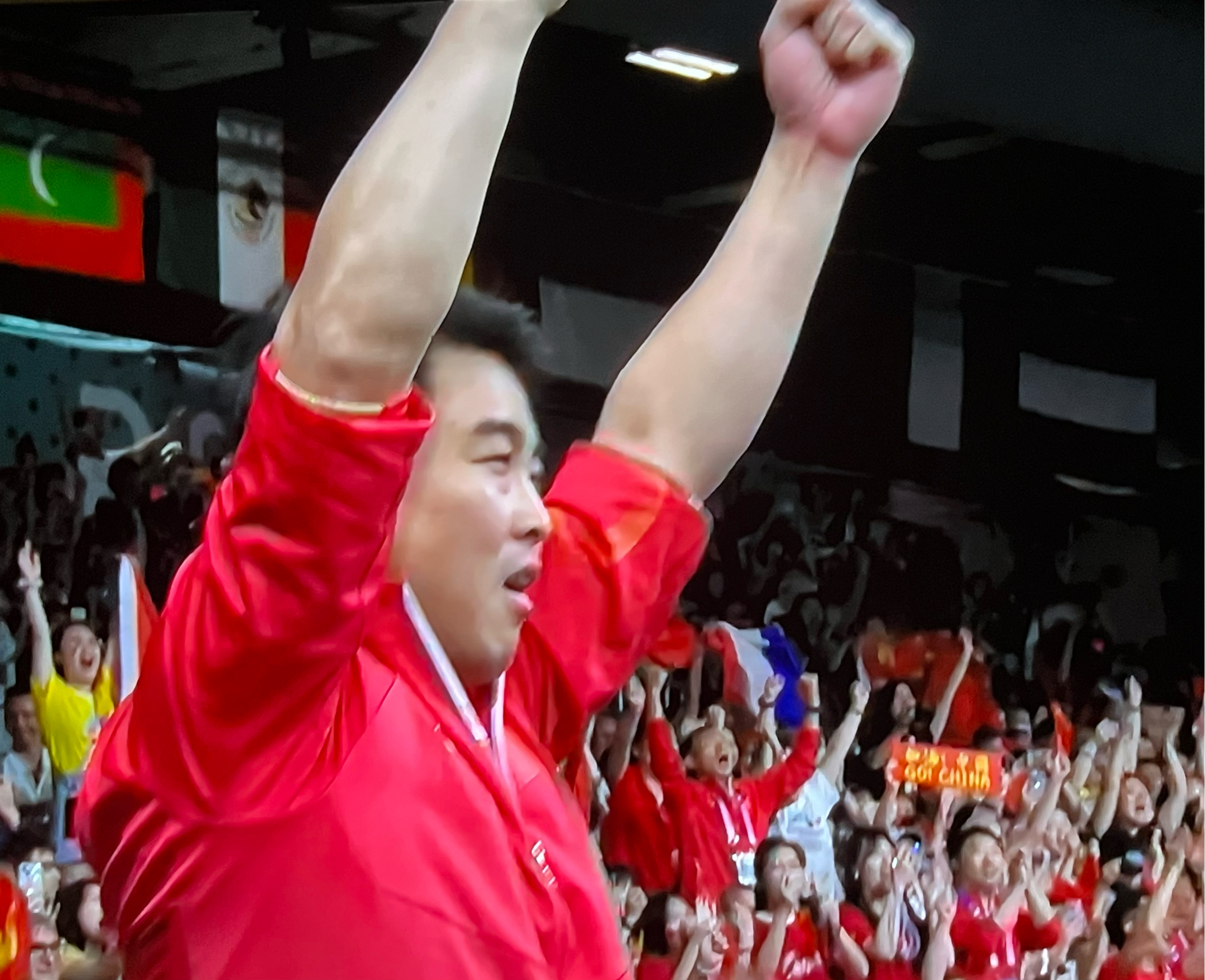 包含法国乒乓球队血洗中国乒乓球队，王皓制霸全场的词条