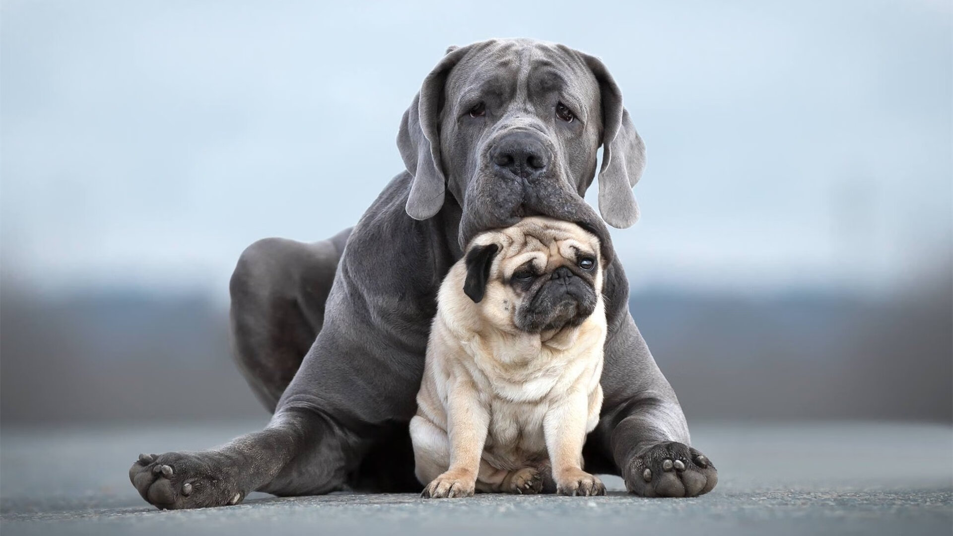 维尼修斯，掌控比赛的艺术，苏格兰逆转墨西哥的幕后导演